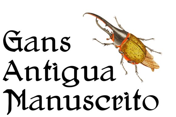 Gans Antigua Manuscrito: A Timeless Handwritten Font for Small Business Branding