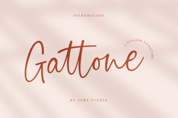 Gattone: A Script Amp That Earns Its Space