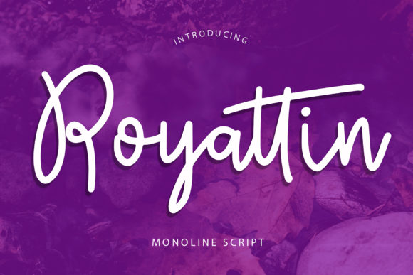 Royattin: A Handwritten Font That Makes Your Campaigns Instantly Recognizable