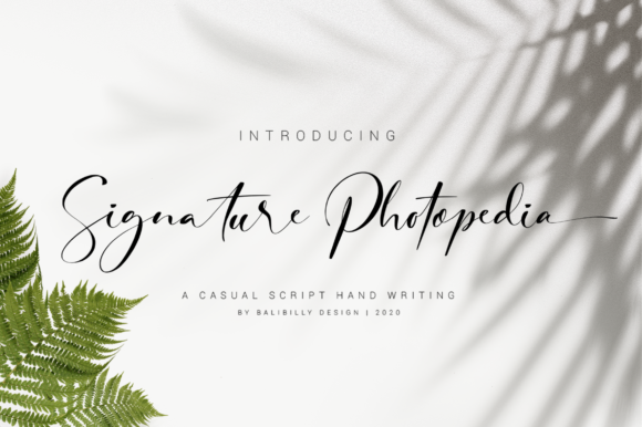 Signature Photopedia: A Timeless Script Font for Handmade Creators
